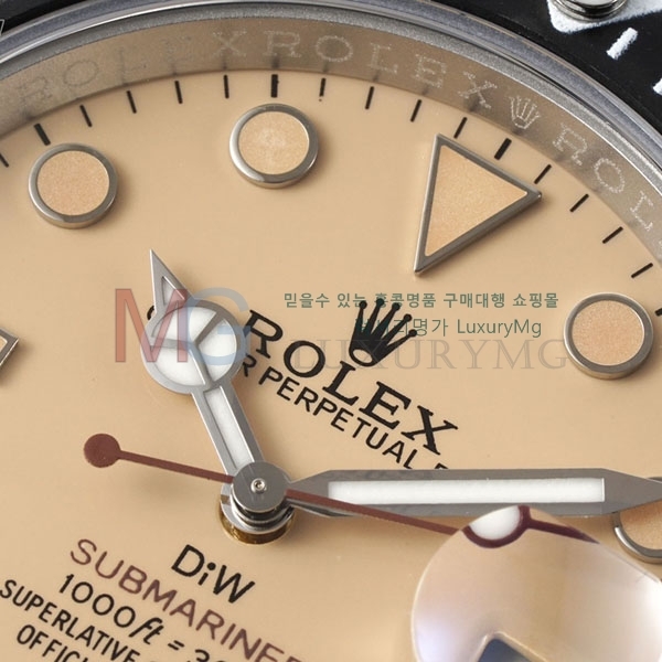 �η��� ���긶���� DIW �ð� R251331-5