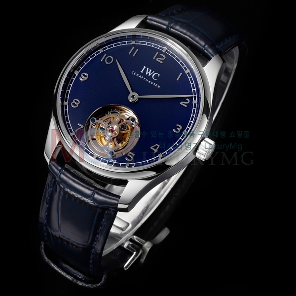  ���̴������� �����ƽ �ð� W81905-3 (42mm)