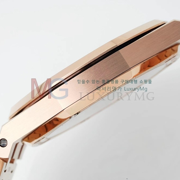 �������ǰ� �ξ��ũ ���ν�Ƽ�� AP15202-5