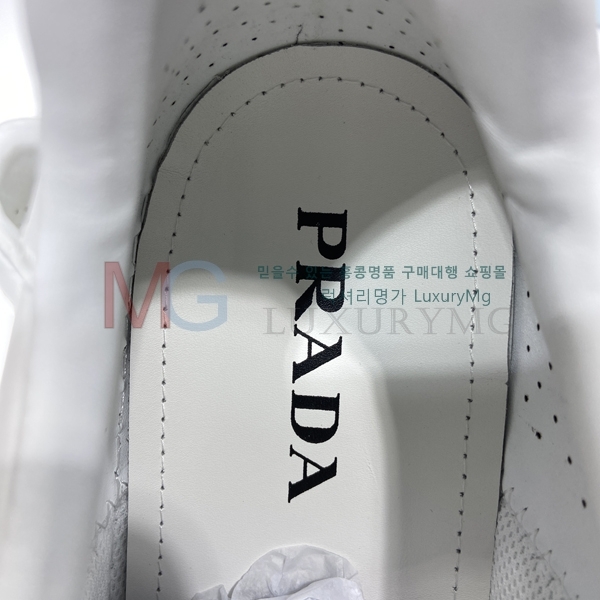 ����� ����Ŀ�� �������� PA000365-3