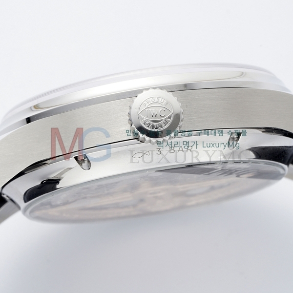 ���̴������� �����ƽ �ð� W371220-2 (42.2mm)