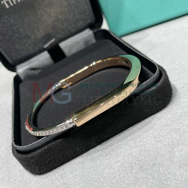 Ƽ�Ĵ� ���� TI608117