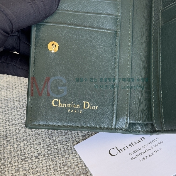 ��� CD ���� ������ S5173-10