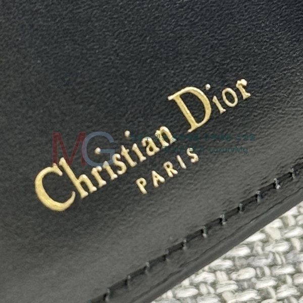 ��� CD ���� ������ S5173-11