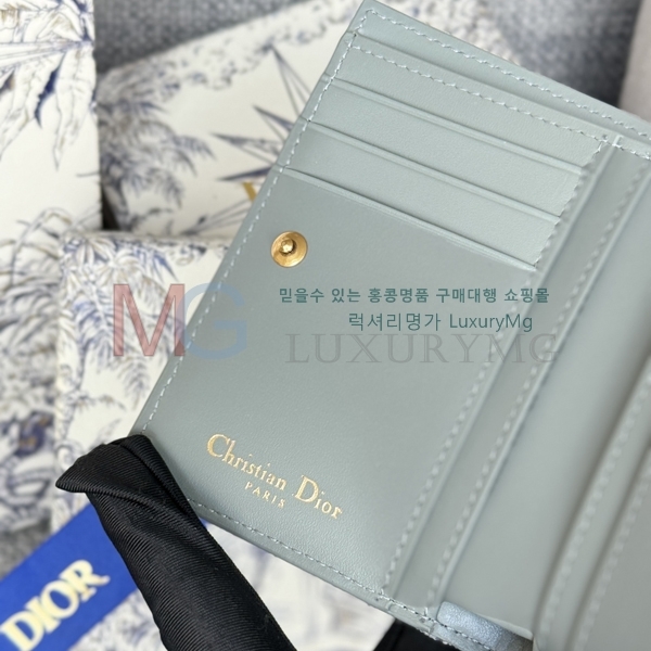 ��� CD ���� ������ S5173-13