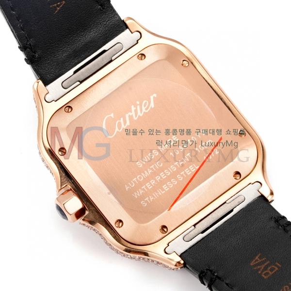 ��쿡 ���佺 �ð� ���̾� C30050-4