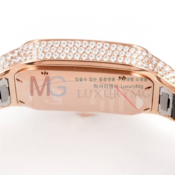��쿡 ���佺 �ð� ���̾� C30050-4