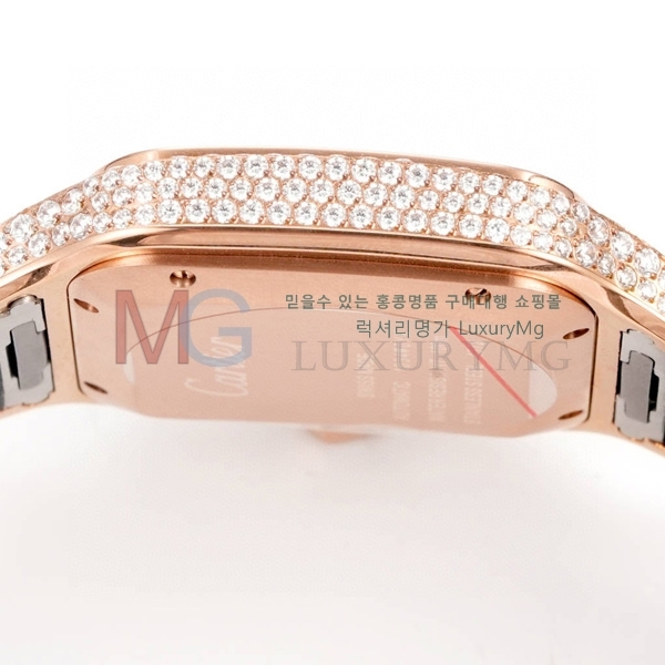 ��쿡 ���佺 �ð� ���̾� C30050-5