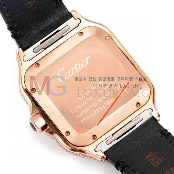 ��쿡 ���佺 �ð� ���̾� C30050-5