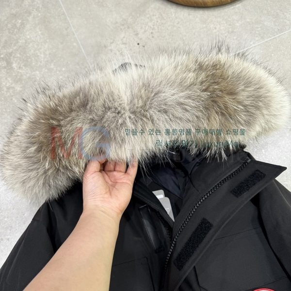 �������� ĳ���ٱ��� �ͽ����� �ٿ� �е� GAN8791-9