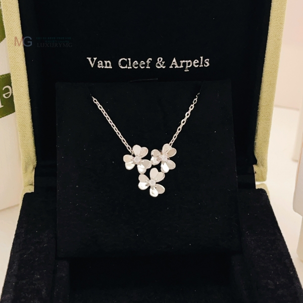 ���� ��Ŭ���� �� ���� ����� VCA03463-1